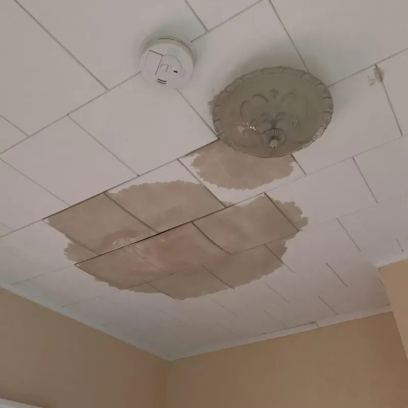 Ceiling Water Damage Repair in Perkasie, PA
