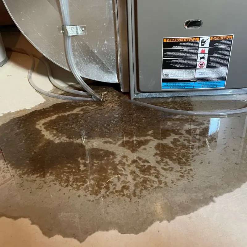 Pipe Burst and Leak Restoration in Perkasie, PA
